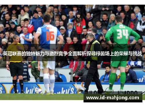 英冠联赛的独特魅力与激烈竞争全面解析探寻绿茵场上的荣耀与挑战