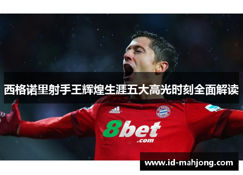 西格诺里射手王辉煌生涯五大高光时刻全面解读